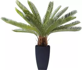 Kare Design :: Sztuczna roślina dekoracyjna Cycas Tree 40x78 cm