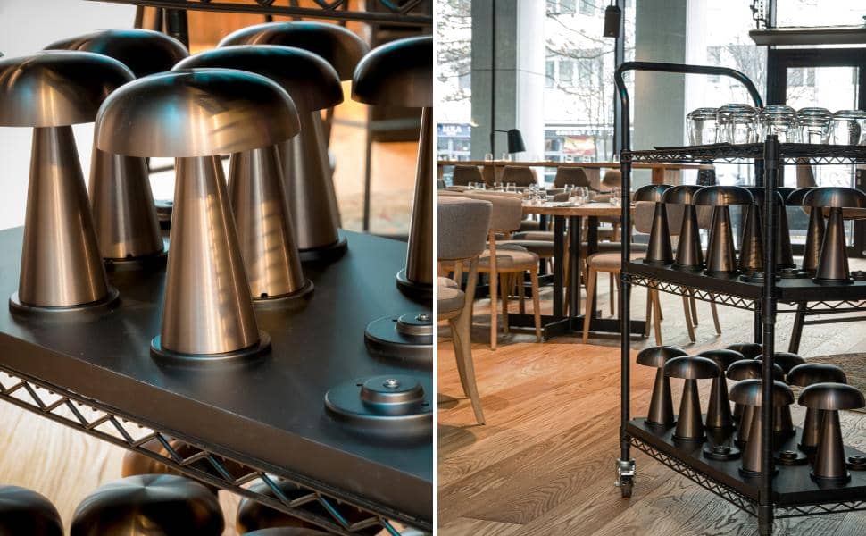 wybitnie nieznani 11