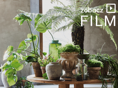 Welcome to the Jungle