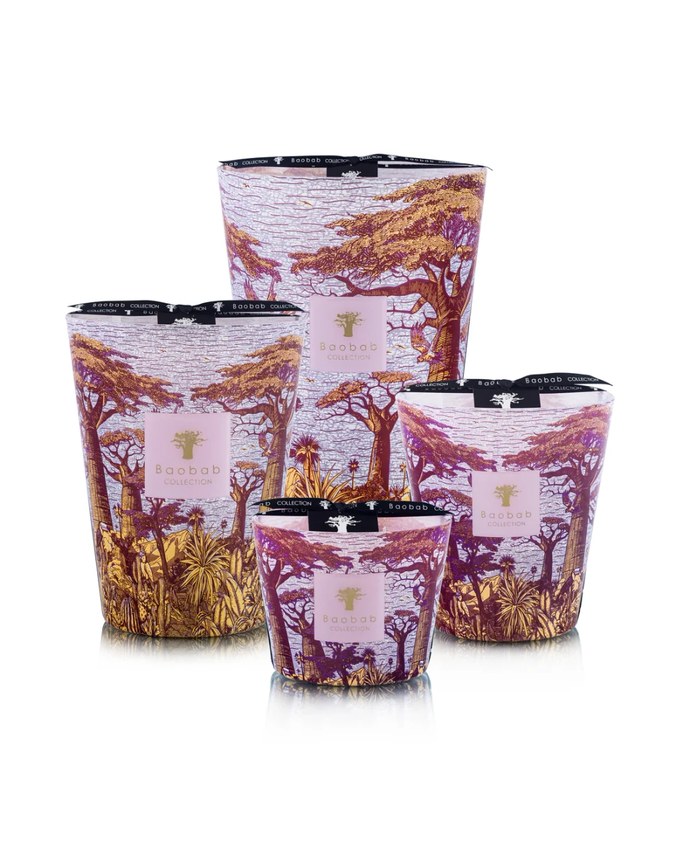 Baobab :: Sacred Trees Masasso Scented Candle Hazelnut Leaves / Green Fig / Sandalwood