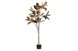 Woood :: Artificial Ficus plant, height 170 cm