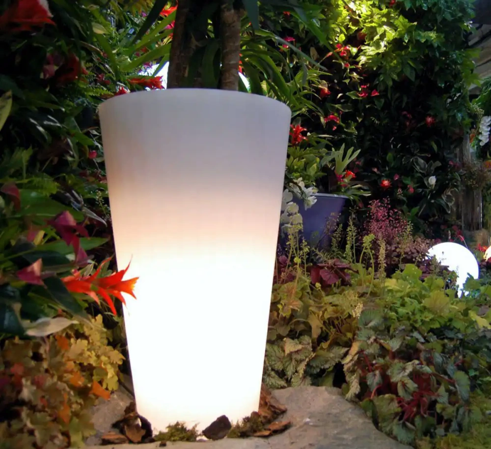 Micante :: Bowl Aurora śr.46