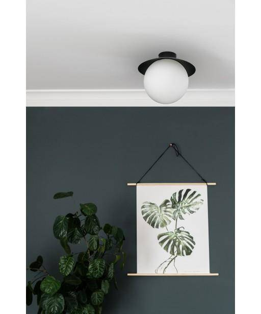 Ummo :: Kuul C Ceiling