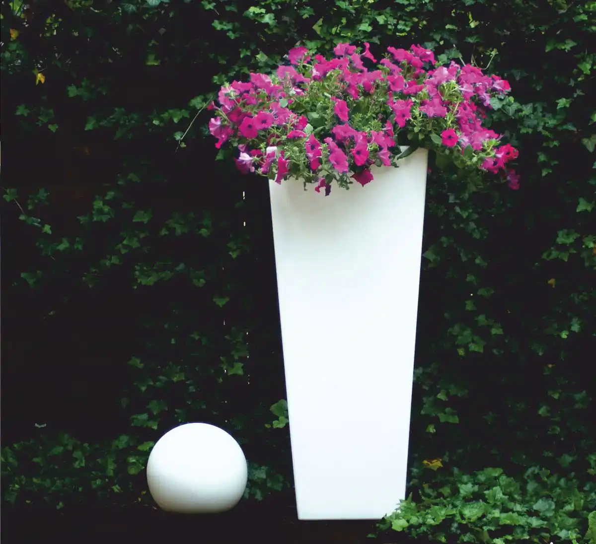 Micante :: Bowl Lidia 71x35