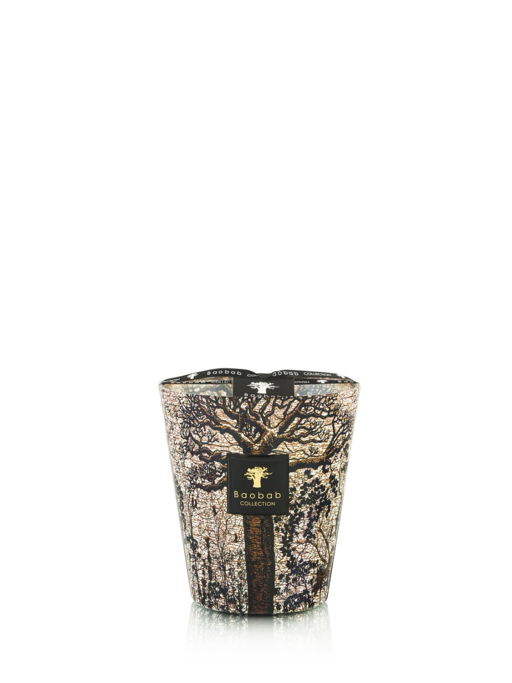 Baobab :: Sacred Trees Morondo Scented Candle Cinnamon \ Almond \ Texas Cedarwood