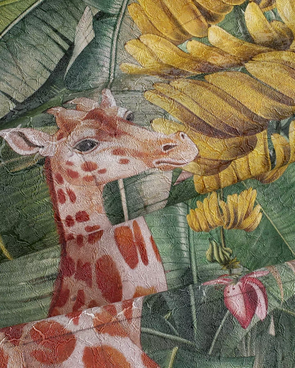 Wonderwall :: Safari Wallpaper