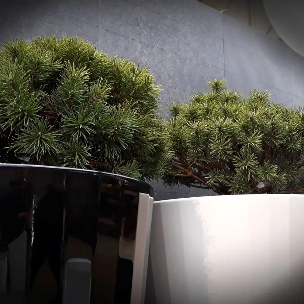 Micante :: Topf aus Plastik Aurora beleuchtet Durchmesser 46 weiß