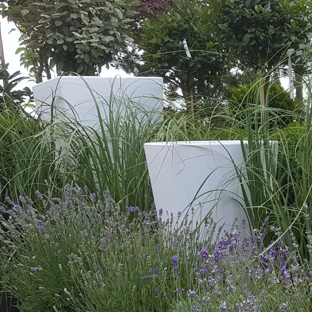 Micante :: Bowl Aurora śr.46