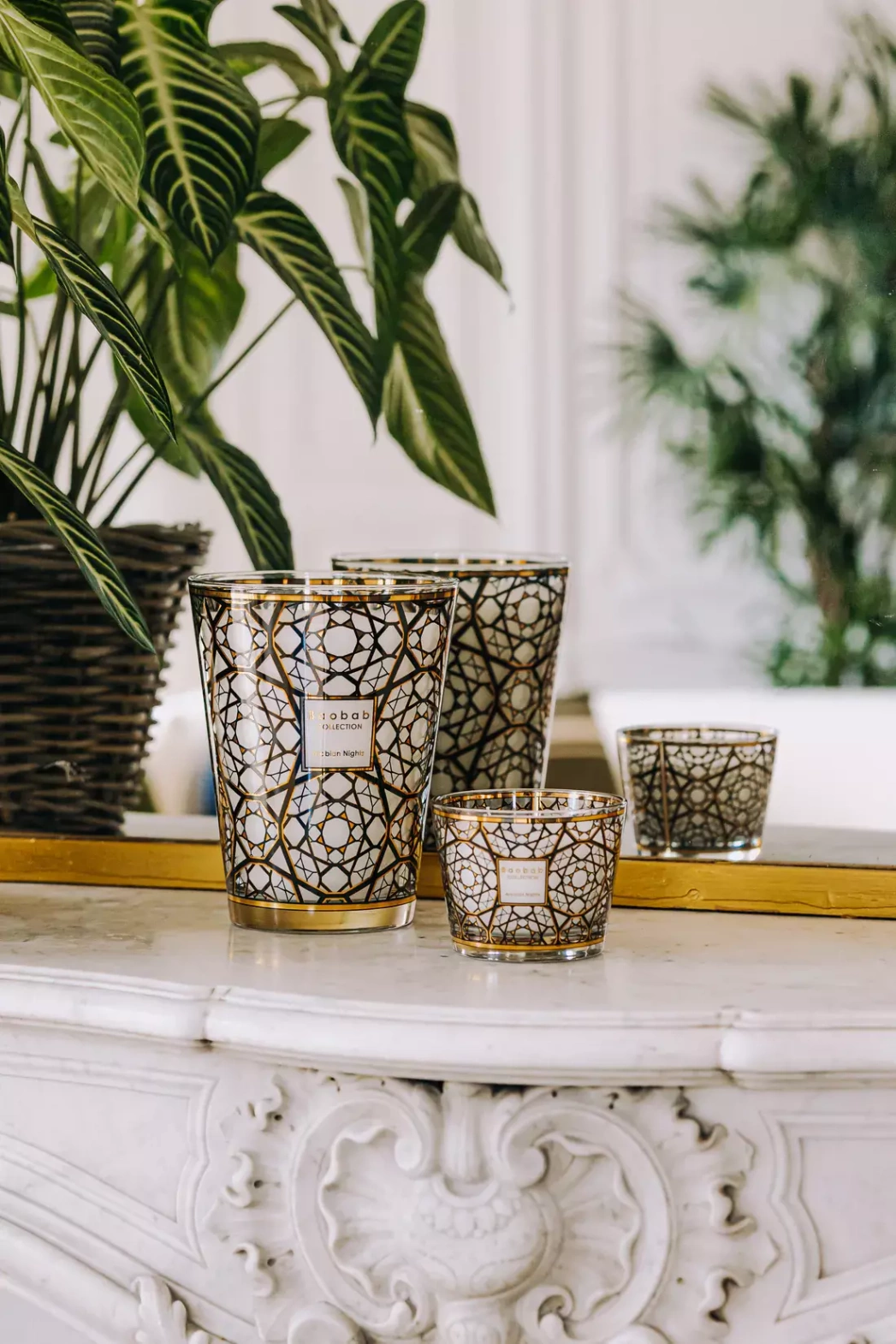 Baobab :: Arabian Nights Saffron / Oud / Incense Scented Candle