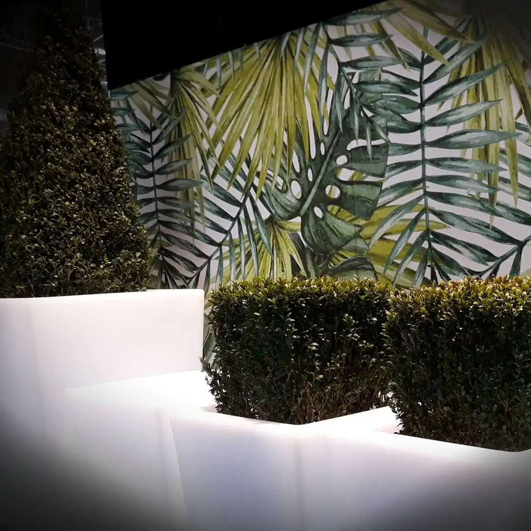 Micante :: Bowl Lidia 71x35