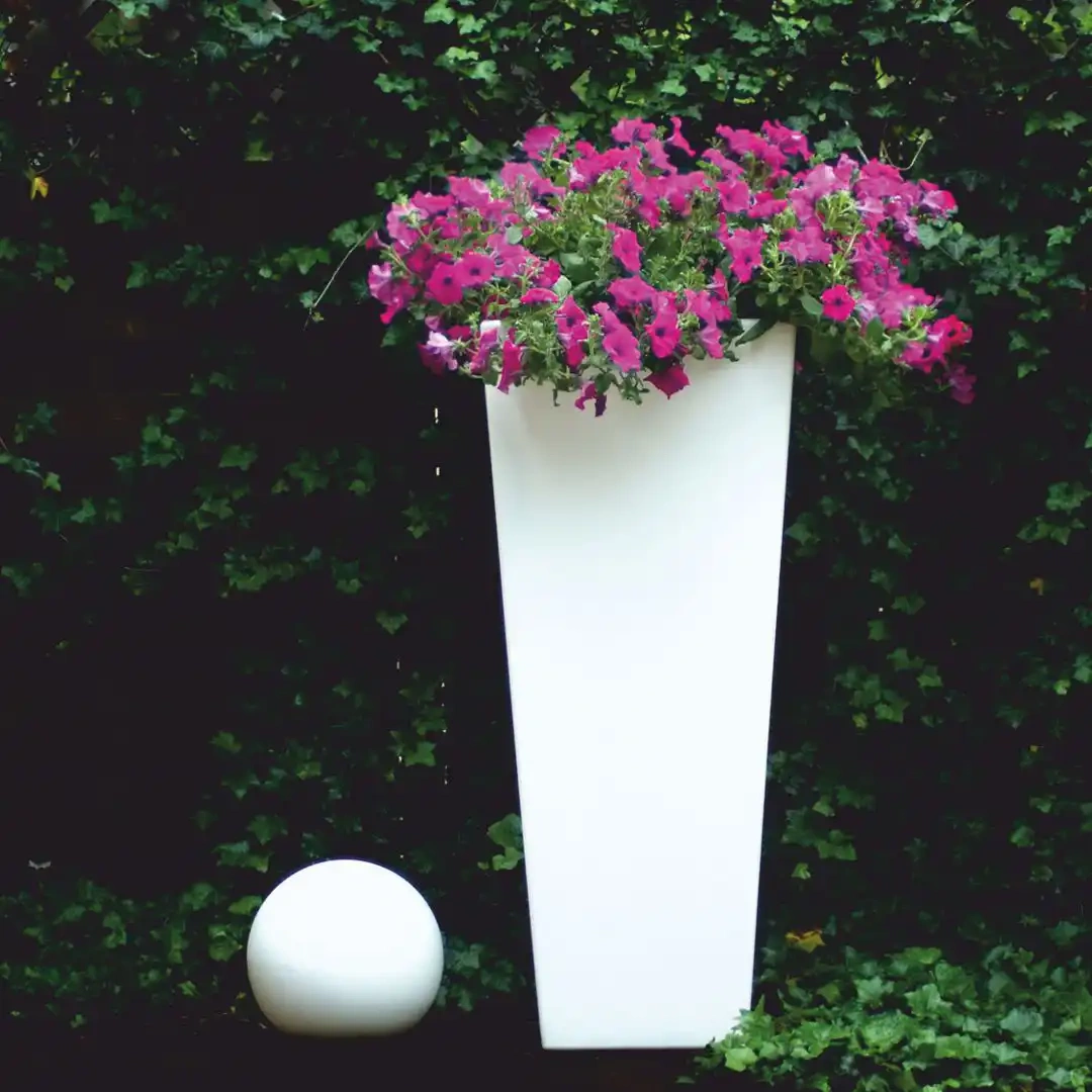 Micante :: Bowl Lidia 71x35