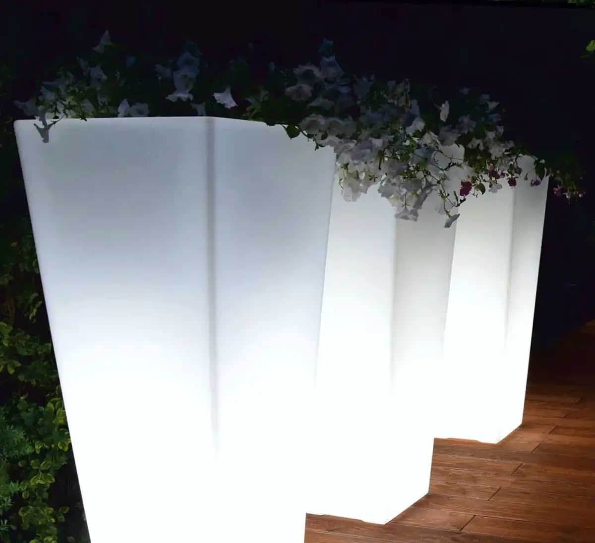 Micante :: Bowl Lidia 71x35