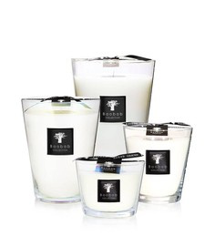 Baobab :: Candle Black Madagascar Vanilla frangipani tree / vanilla