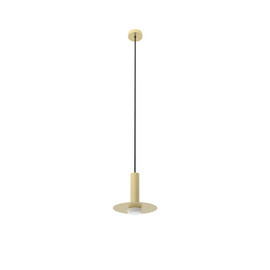 Robin :: Reina brass pendant lamp