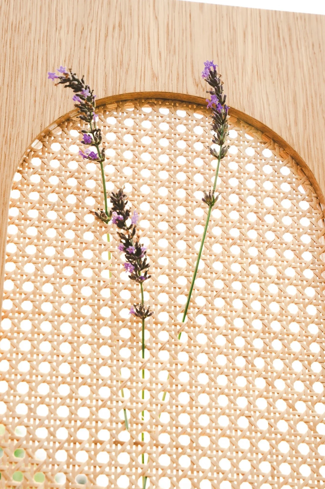 Pastform Furniture :: Drewniana komoda Moon L rozmiar i kolor do wyboru