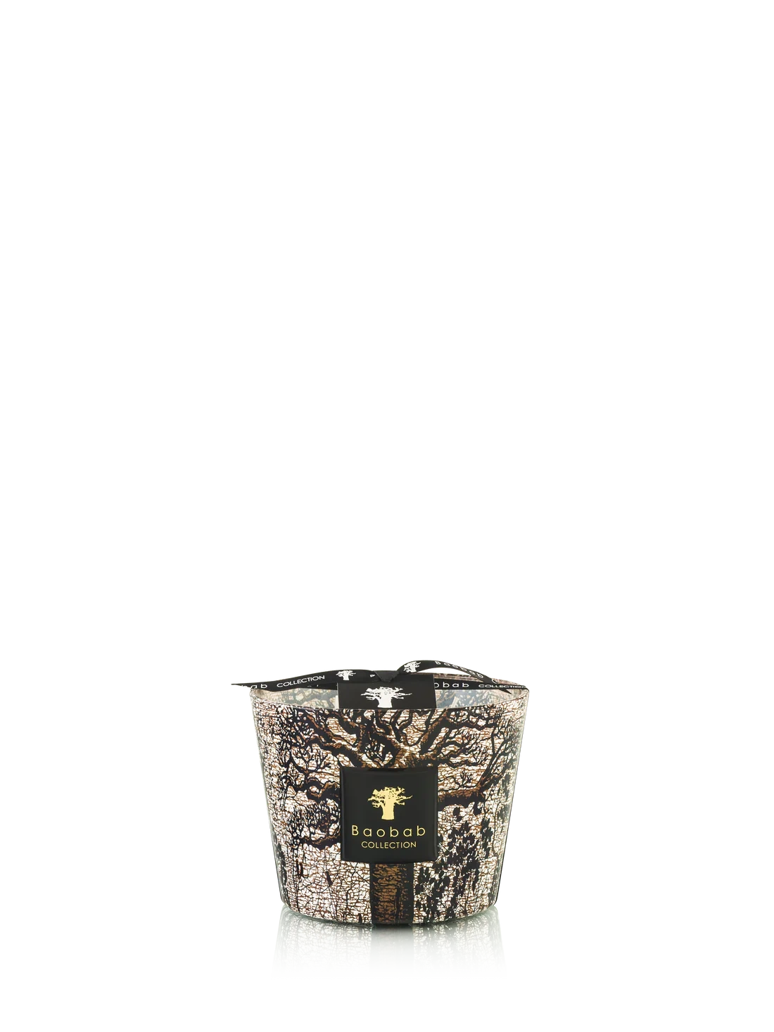 Baobab :: Sacred Trees Morondo Scented Candle Cinnamon \ Almond \ Texas Cedarwood