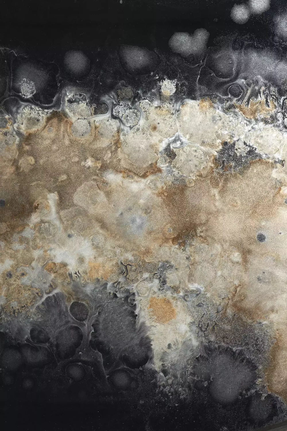 Ethnicraft :: Tray Organic 71 x 36 x 3 cm