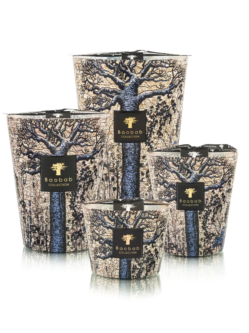 Baobab :: Sacred Trees Séguéla Scented Candle cedar \ incense \ eucalyptus