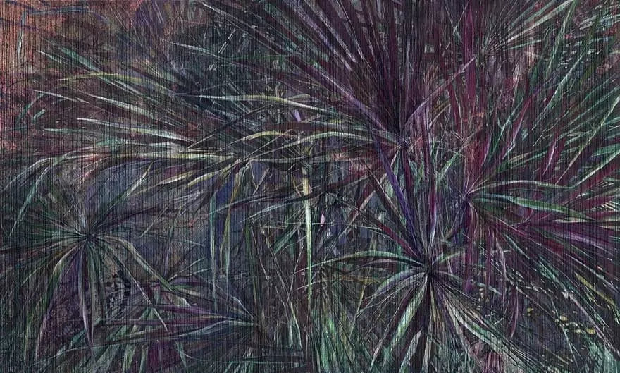 Wonderwall :: Amazonia Wallpaper