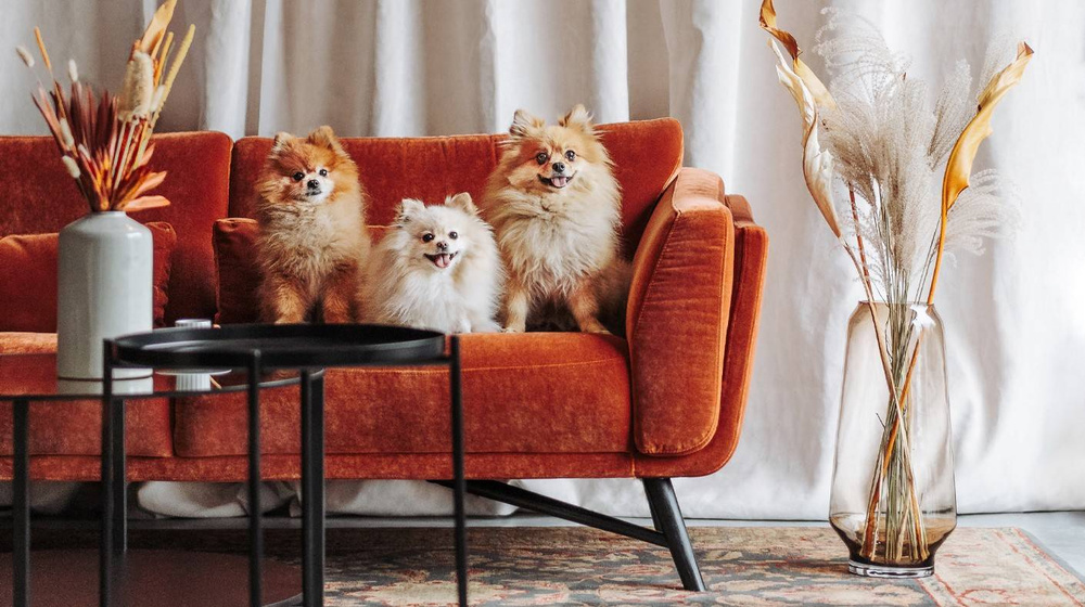 Nordic Line :: Sofa gepolstert Kobe 230x80x91cm braun