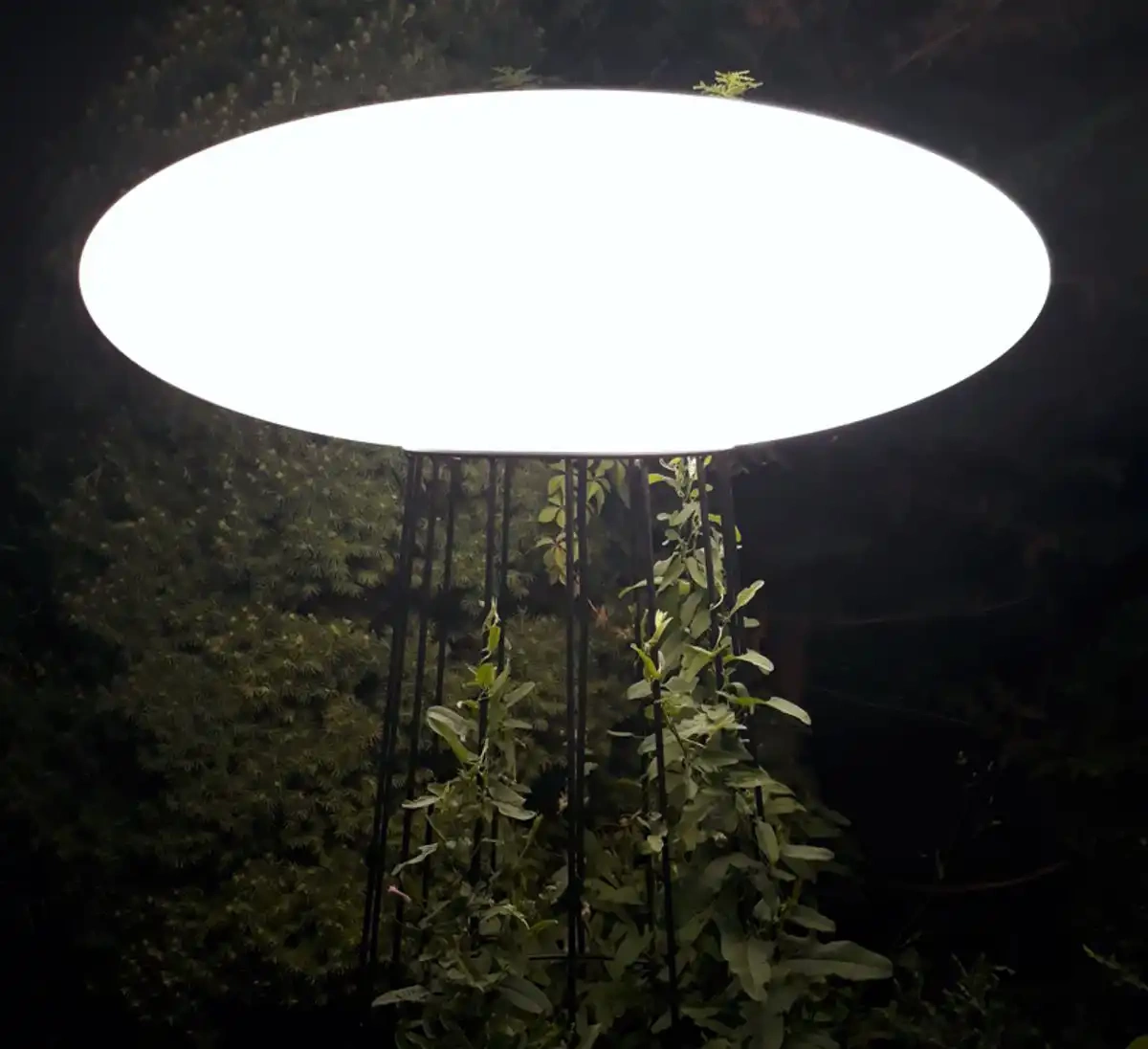 Micante :: Lampa stojąca Ufo wys. 150 	 3000K