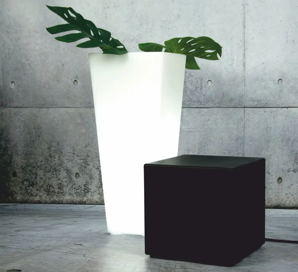 Micante :: Bowl Lidia 71x35