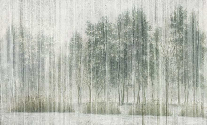 Wonderwall :: Sherwood Wallpaper