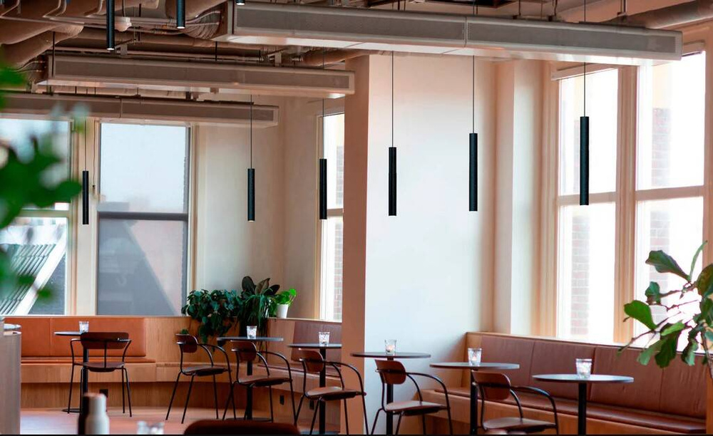 Robin :: Rose hanging lamp, height 40 cm, black