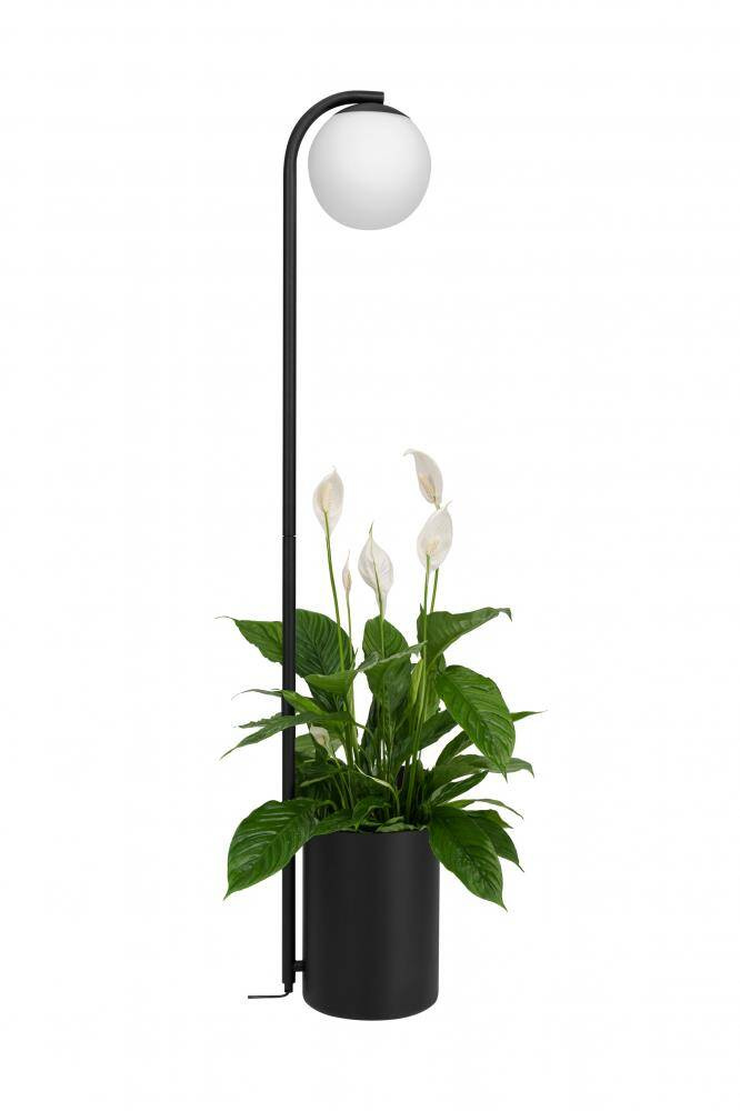 Kaspa :: Botanica Deco XL Wood floor lamp black, height 147 cm