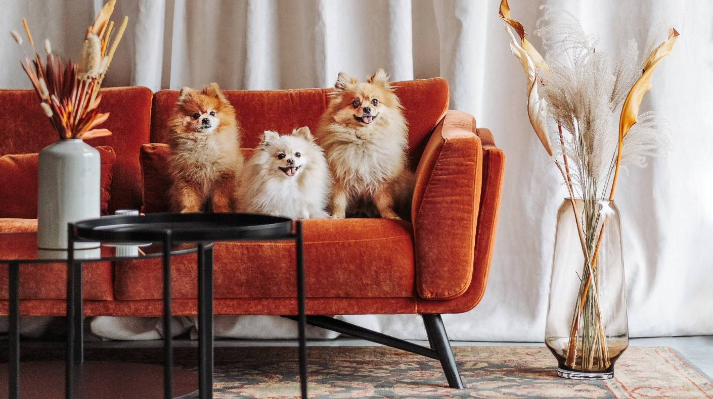 Nordic Line :: Upholstered sofa Kobe green 230x80x91