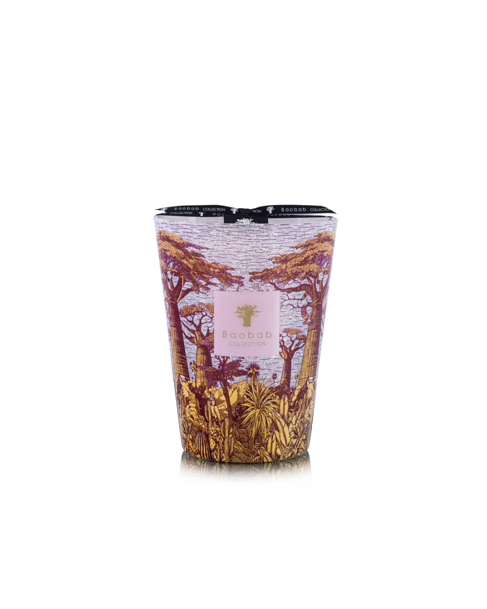 Baobab :: Sacred Trees Masasso Scented Candle Hazelnut Leaves / Green Fig / Sandalwood