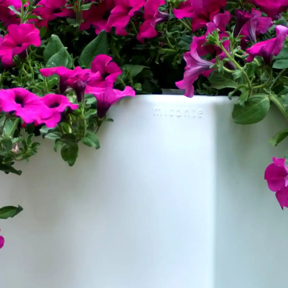 Micante :: Bowl Lidia 71x35