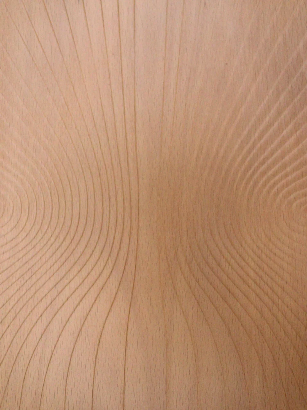 Fameg :: Wooden armchair B-9, natural beech with relief