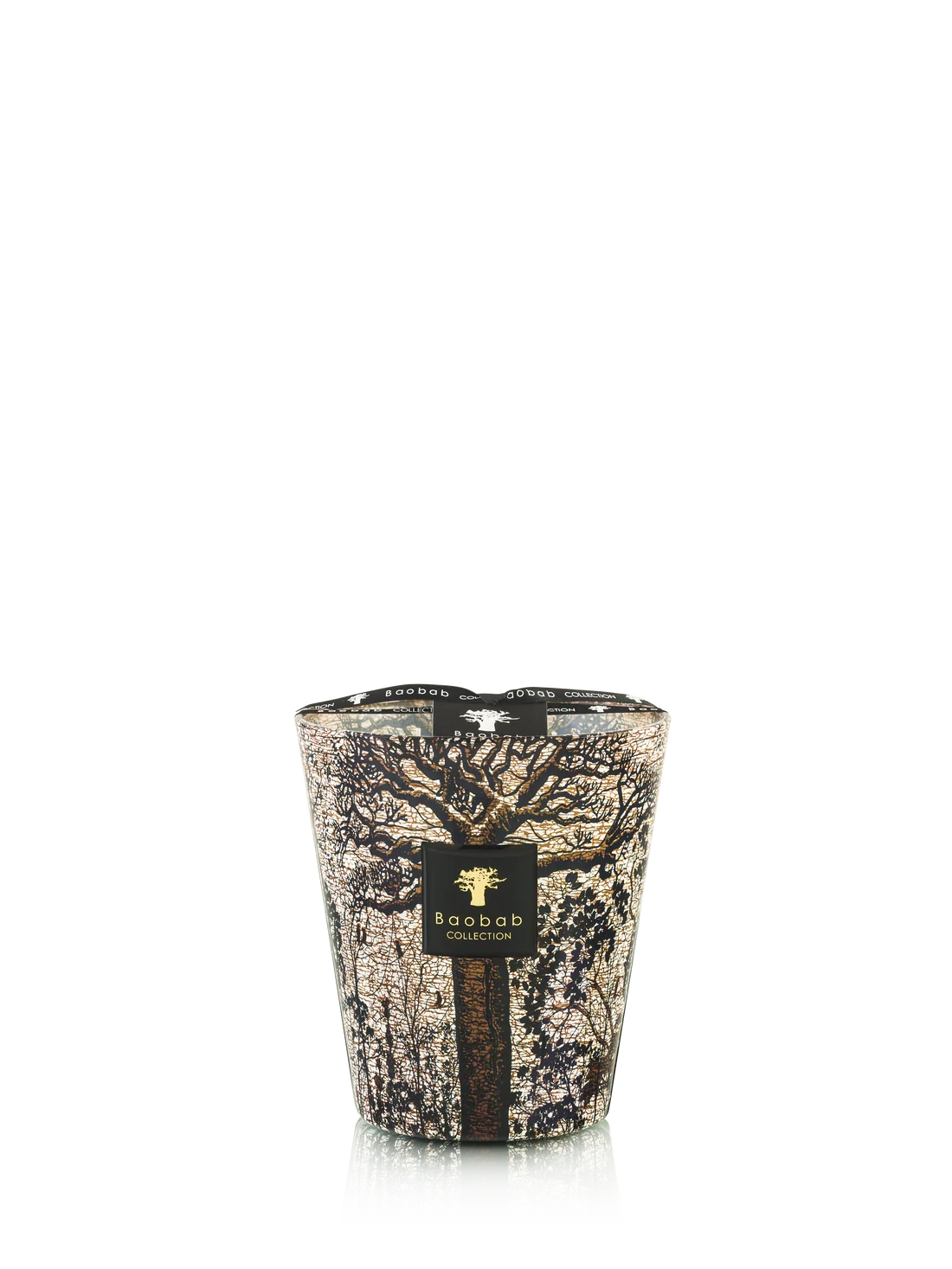 Baobab :: Sacred Trees Morondo Scented Candle Cinnamon \ Almond \ Texas Cedarwood