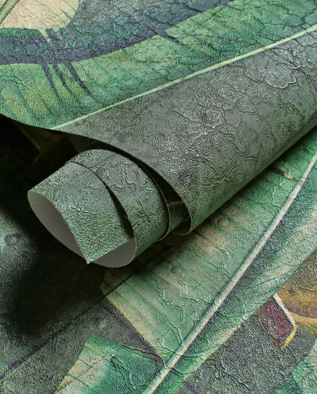 Wonderwall :: Safari Wallpaper