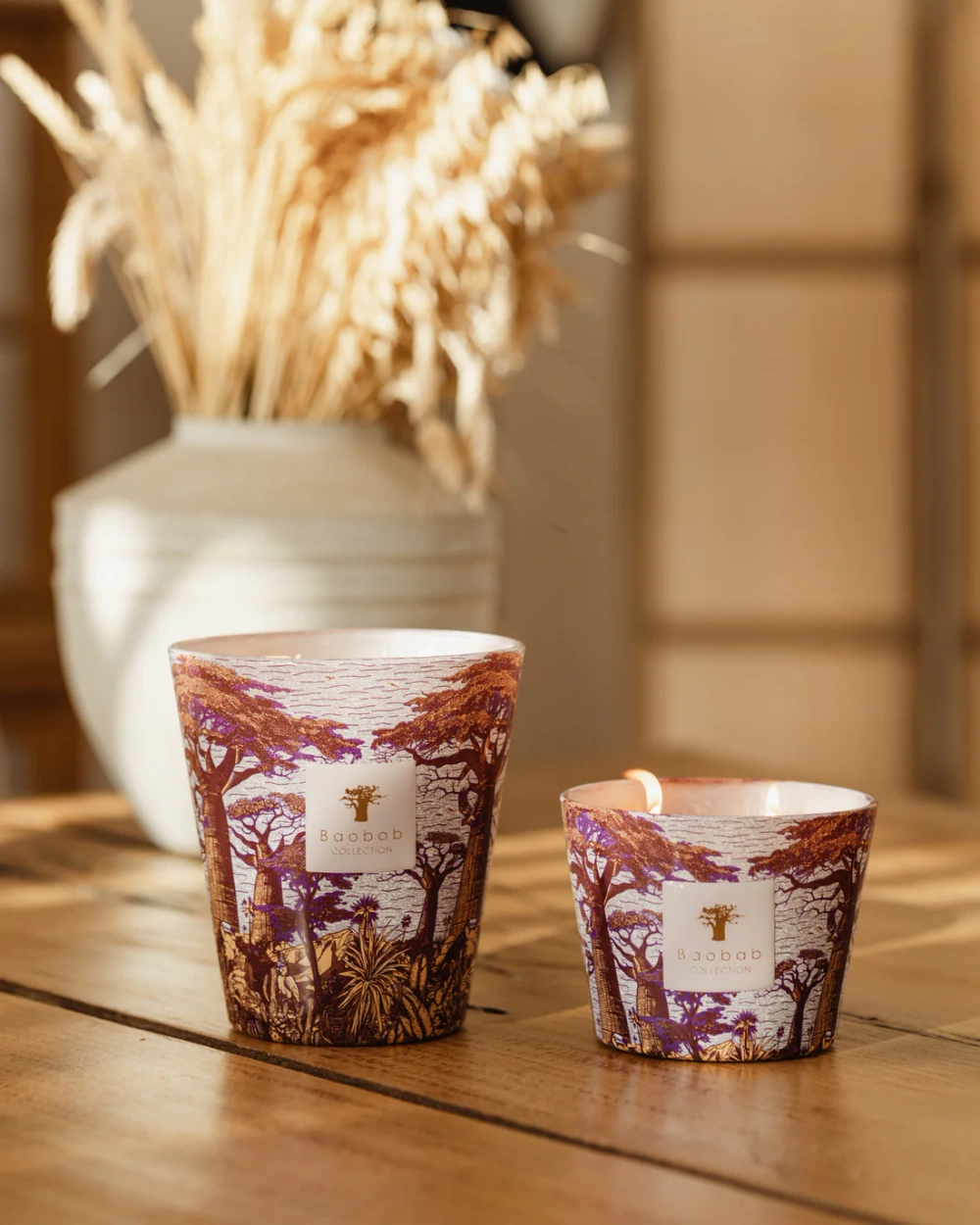 Baobab :: Sacred Trees Masasso Scented Candle Hazelnut Leaves / Green Fig / Sandalwood