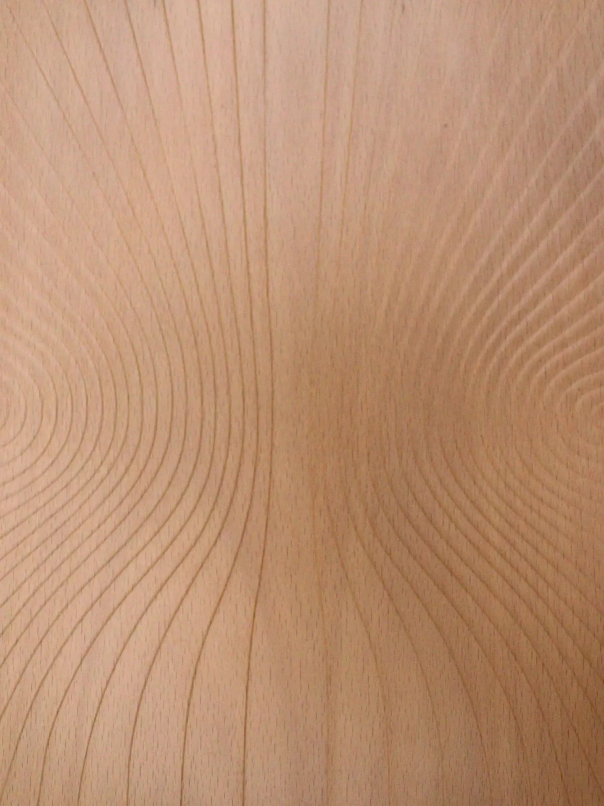 Fameg :: Wooden armchair B-9, natural beech with relief