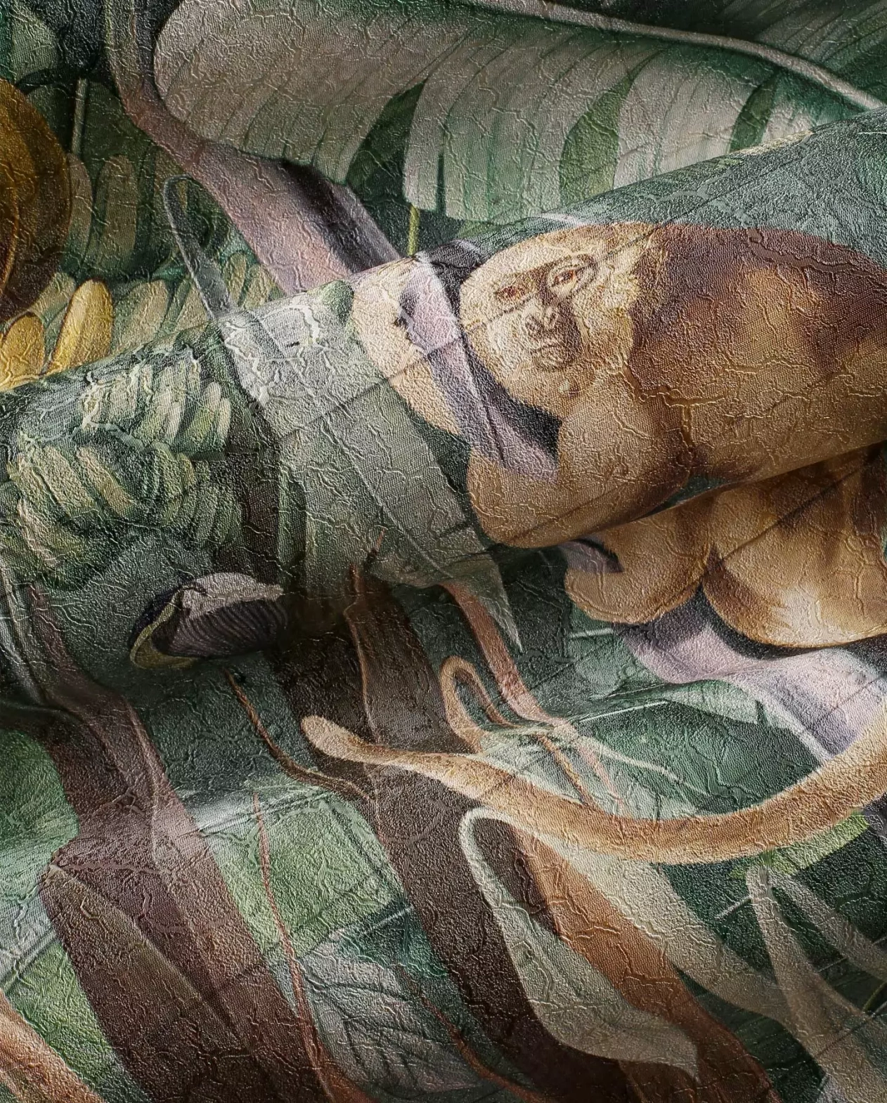 Wonderwall :: Safari Wallpaper