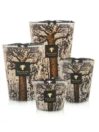 Baobab :: Sacred Trees Morondo Scented Candle Cinnamon \ Almond \ Texas Cedarwood