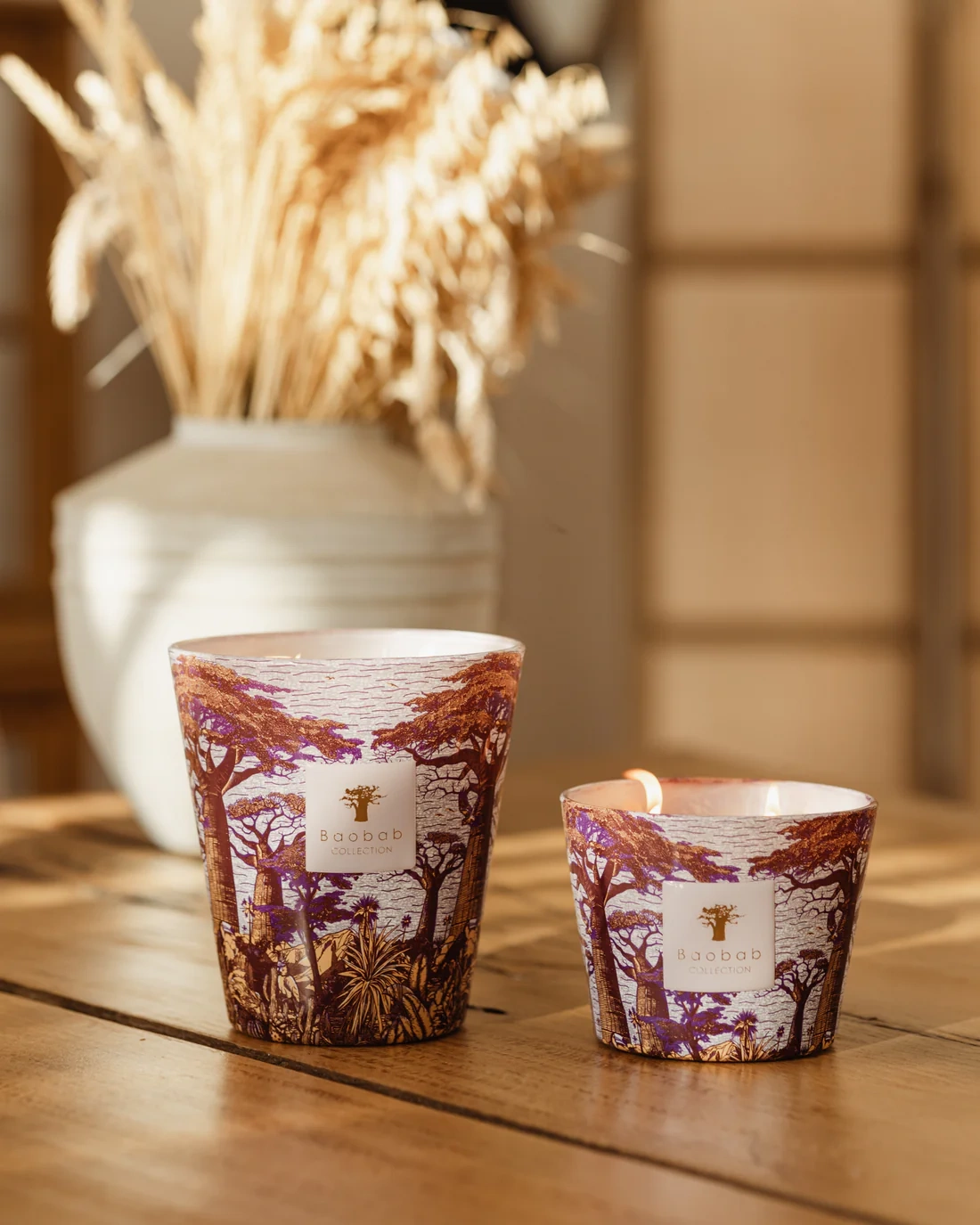 Baobab :: Sacred Trees Masasso Scented Candle Hazelnut Leaves / Green Fig / Sandalwood