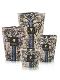 Baobab :: Sacred Trees Séguéla Scented Candle cedar \ incense \ eucalyptus