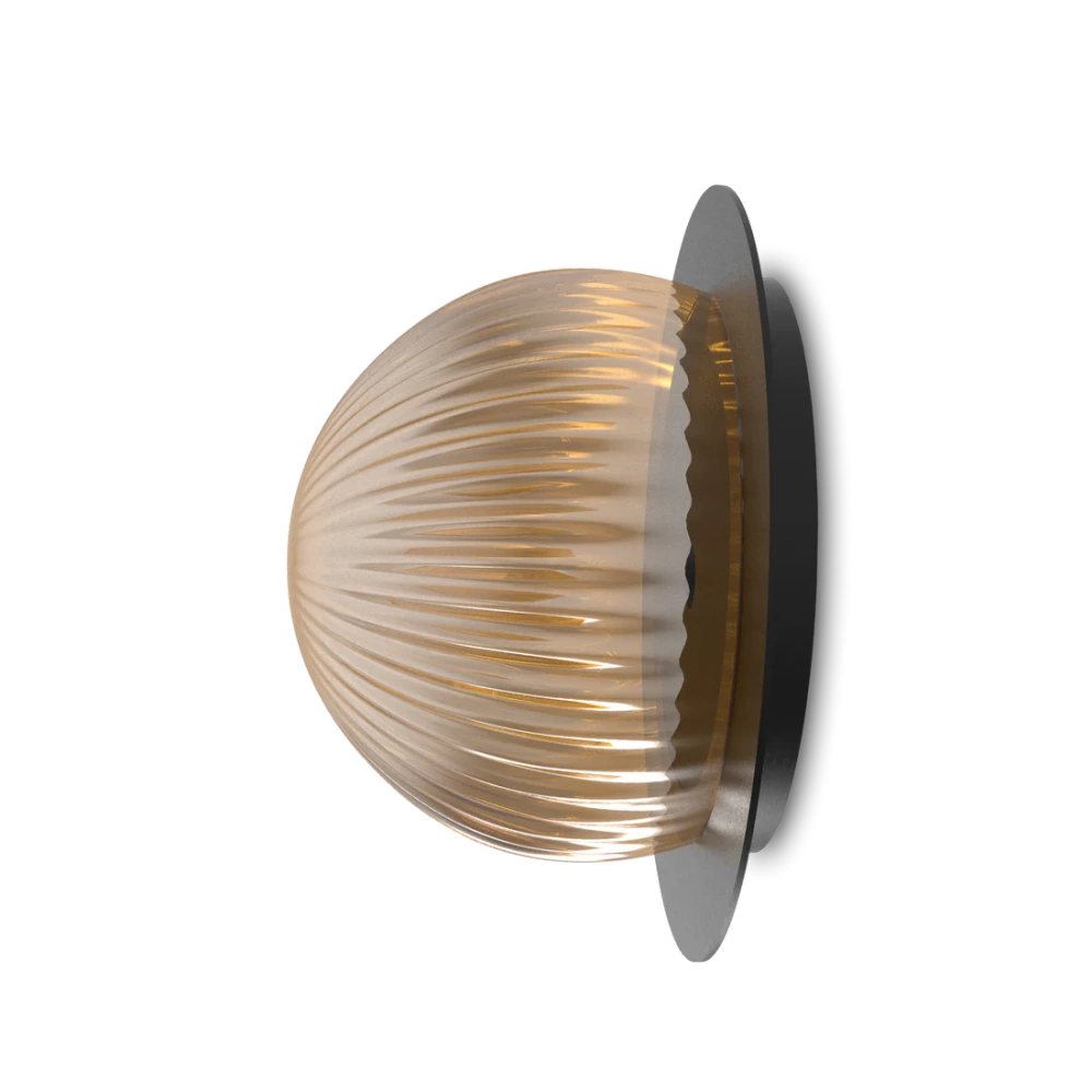 Robin :: Roi Disc wall/ceiling lamp, black and smoke, diameter 15 cm